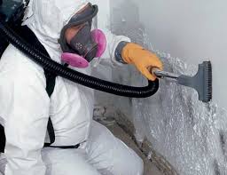 Professional Mold Remediation in Fredericksburg, TX